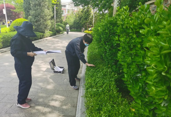 大连首次出台城市园林绿化三项地方标准 开启城市绿化管理新篇章